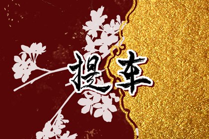 2024年春节可以扫墓吗 崇拜最佳时间