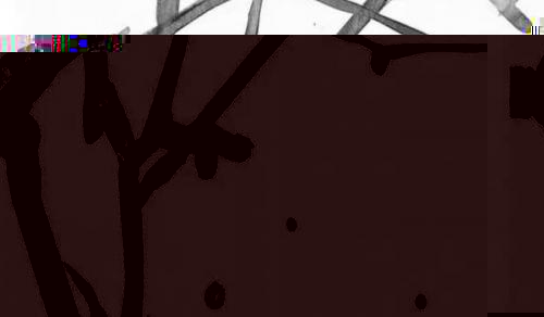 大门口两边最旺宅的植物 多子多福健康长寿