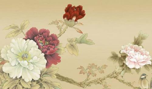 适合办公室摆放的绿植 吉祥如意吉利顺遂