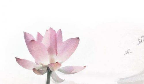 葫芦摆放客厅位置 聚财招财凝聚好运