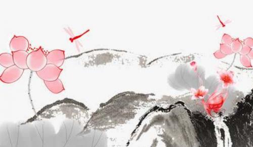 客厅明财位摆放什么植物好 生机茂盛最佳