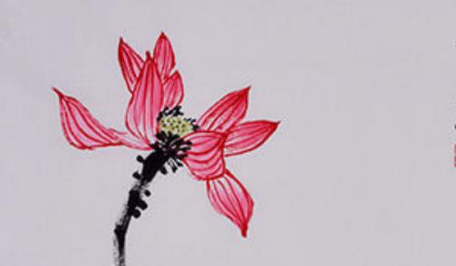 办公桌上放什么花好旺财 选择红色花卉