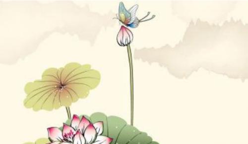 办公室适合养的大型绿植 发财树富贵竹都极好