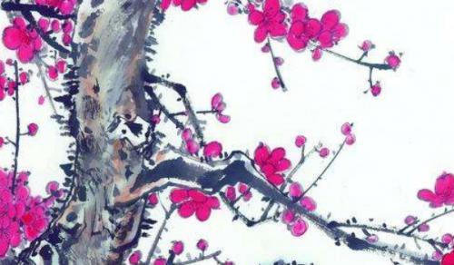 农村住宅门前栽什么树好 梅葫棕树最旺财