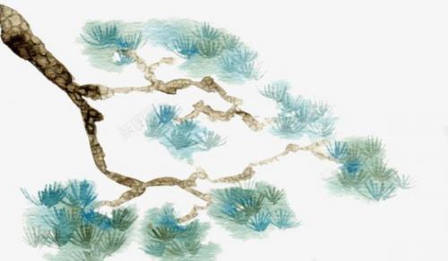 家门口种什么树最好最旺财 发财树是首选