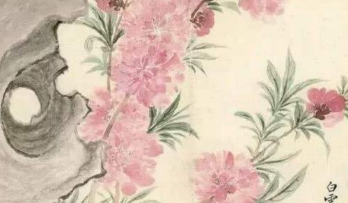 客厅财位适合摆放什么植物最招财 鲜活植物