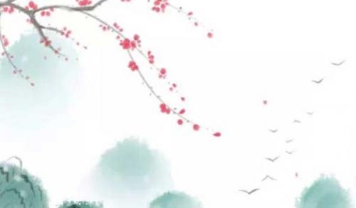 适合老板办公室的绿植 发财树效果最佳