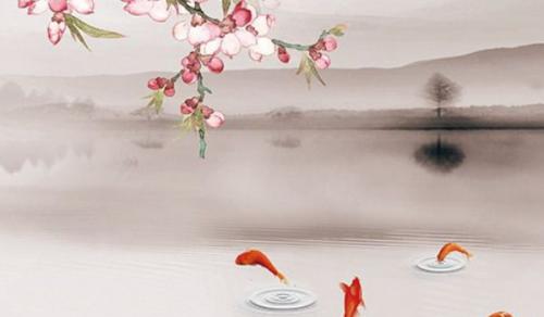 适合放在财位的绿植 寓意吉祥且吉利