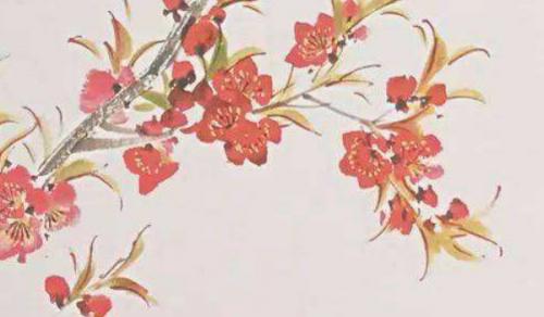 家中两个明财位可以放什么 开运树或招财物件