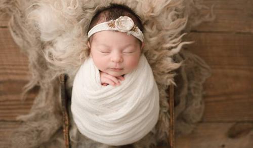 属兔的名字带草字头好吗 兔宝宝起名女孩宜用字