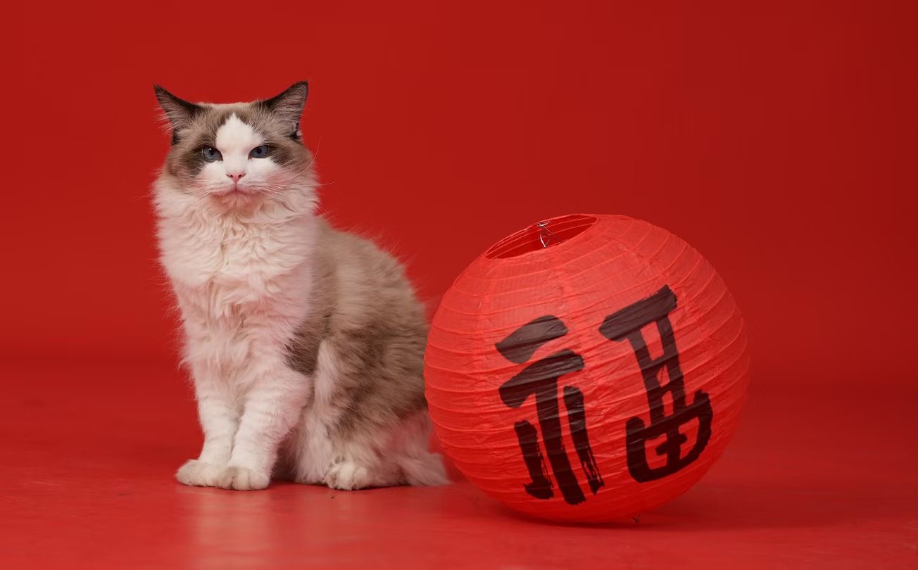 2025年农历五月十八可以乔迁搬新房吗 是最吉利的搬家入伙日吗？